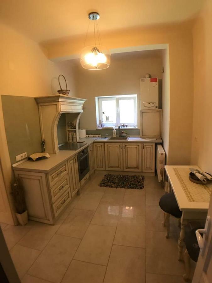 Apartment Vintige Cluj Napoca Bagian luar foto