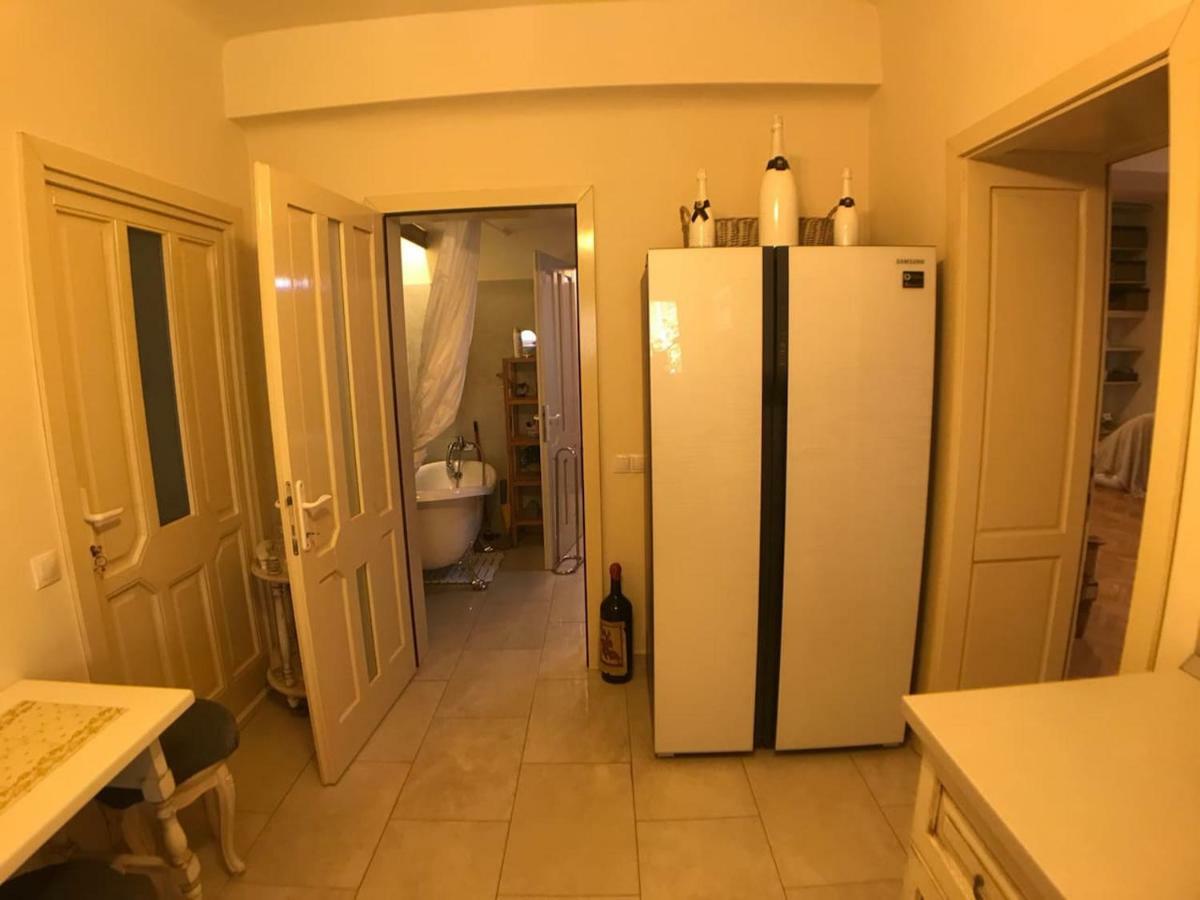 Apartment Vintige Cluj Napoca Bagian luar foto
